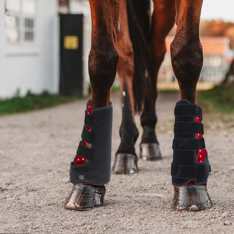 Red Light Infrared Pet Muscle Pulling Wound Recovery Horse Leg Portable Phototherapy