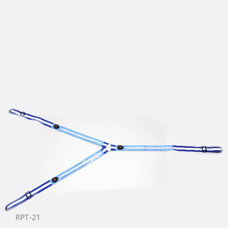 Equestrian LED light strip