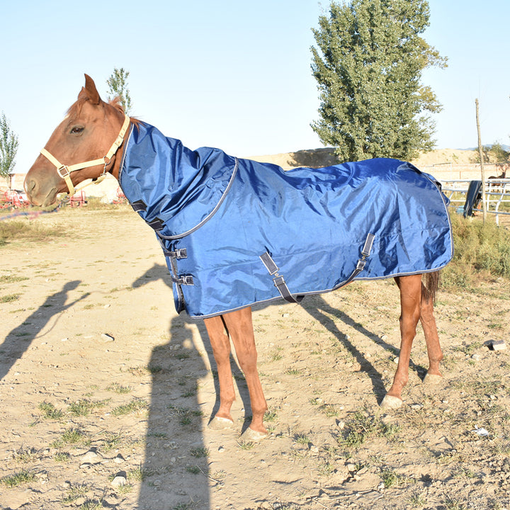 Winter Padded Cotton Horse Jacket With Bib