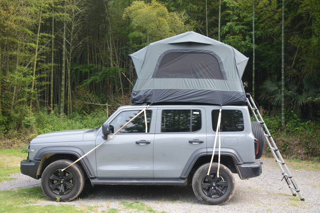 Truck Roof Tent, Car SUV Roof Tent Inflatable,Roof Top Tent Camping For 2 Person,Easy To Set Up