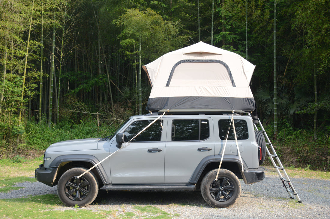 Truck Roof Tent, Car SUV Roof Tent Inflatable,Roof Top Tent Camping For 2 Person,Easy To Set Up